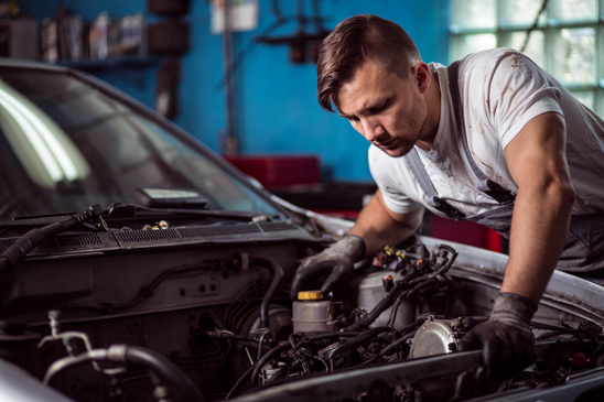 Vehicle Inspection In Edmonton