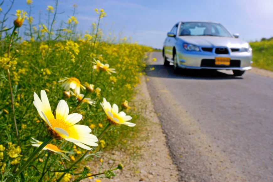 Spring Tune-Ups For Your Vehicle – What’s the Process?